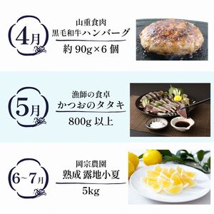 【定期便 6回】室戸まるごと定期便 こだわり産品コース かつお 本マグロ 干物 ハンバーグ zzc2025