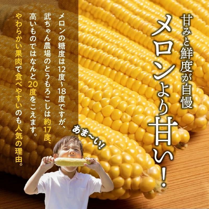 【2024年発送】朝採り直送 メロンより甘い 生とうもろこし“にっこりコーン” 10本　H095-026