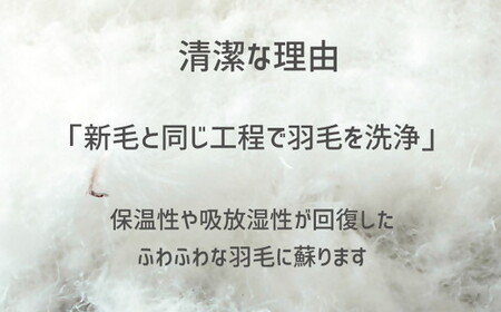 ザ・羽毛布団 リサイクルダウン ロイヤルグリーン ダブル 190×210cm リサイクルホワイトダックダウン70％ 羽毛 掛け布団 立体キルト　【251-000374-20】【14-6】
