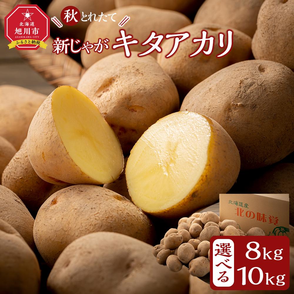 【ふるさと納税】【先行予約】【容量選択可能】秋とれたて 新じゃが キタアカリ 8kgo r 10kg(2025年10月発送開始予定)北海道産じゃがいも ジャガイモ | 野菜 やさい 食品 人気 おすすめ 送料無料