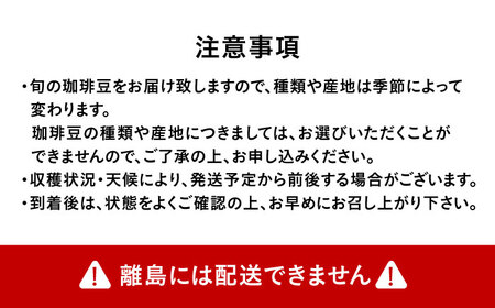 自家焙煎スペシャリティコーヒー ドリップパックセット(12パック) / 諫早市 /R and R coffee labo[AHCJ049]