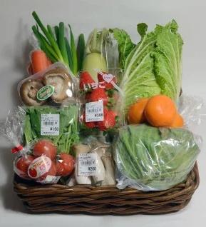FY-02　大師の里のとれたて旬の野菜と果物の詰め合わせ