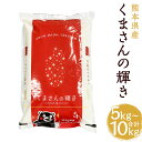 【ふるさと納税】令和6年産 くまさんの輝き 5kg/10kg 選べる内容量 精米 白米 お米 熊本県産 九州産 送料無料