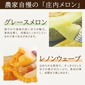 SA2542　庄内メロン　グレース、レノンウェーブ　約3kg　計2玉(青肉・赤肉各1玉)