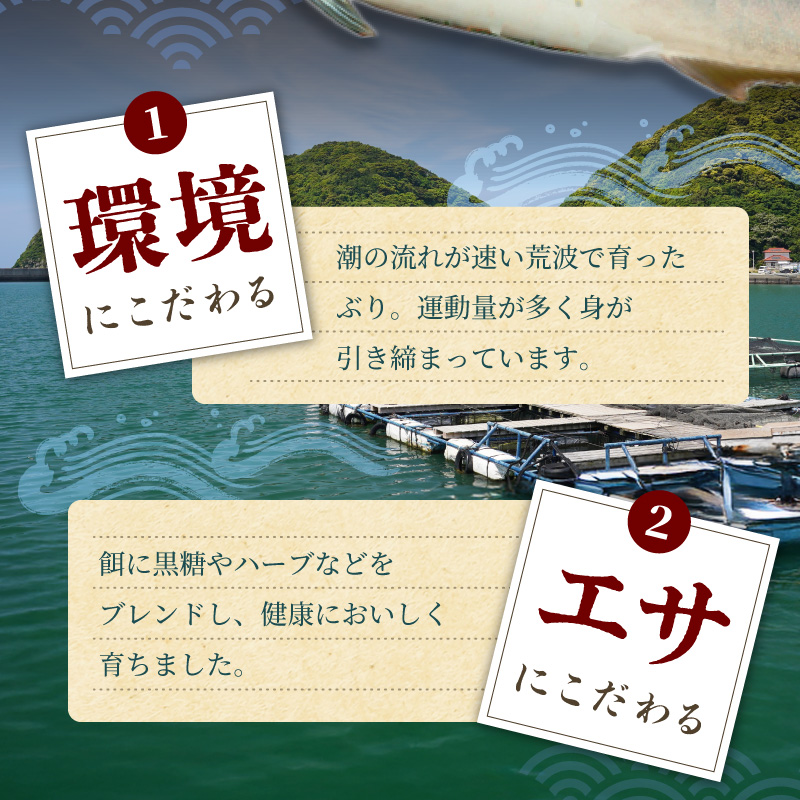 S006-017_ぶり大根5個セット