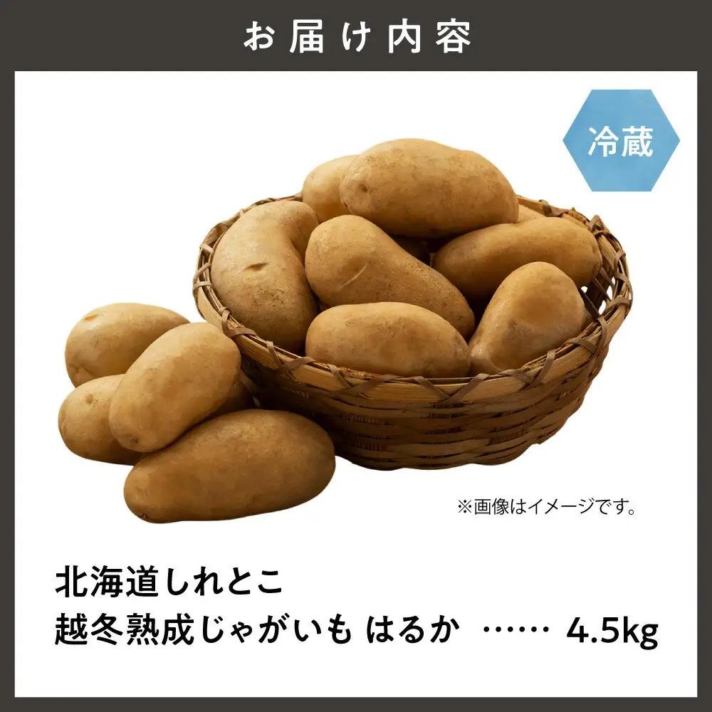 北海道しれとこ越冬熟成じゃがいも はるか 4.5kg　_野菜 じゃがいも いも ジャガイモ 馬鈴薯