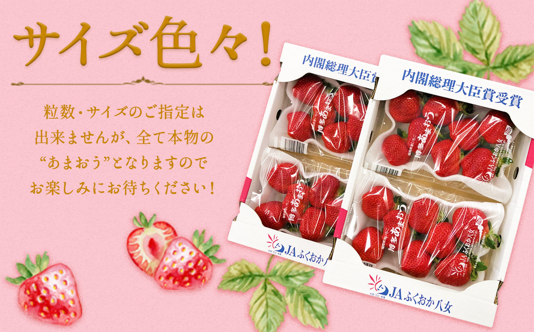 【3回定期便】いちご「あまおう」 約270g×4パック 合計 約3,240g