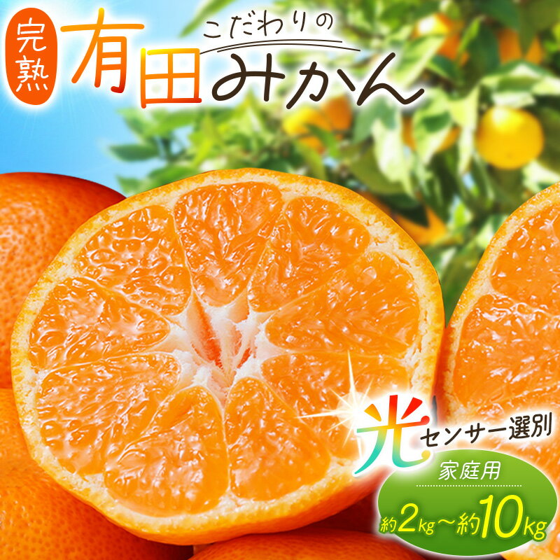 【ふるさと納税】 みかん こだわりの 有田みかん 約2kg〜10kg ＋250g(傷み補償分) 容量 配送時期 光センサー選別 家庭用 ご家庭用 みかん ミカン 果物 フルーツ 農家直送 有機質肥料100% 【11月 ・12月 発送】日付指定不可