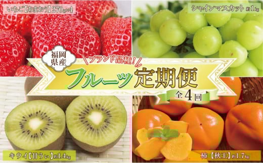 福岡フルーツ定期便B (シャインマスカット・甘うぃ・秋王・あまおう)【全4回】【あまおう 食品 フルーツ シャインマスカット 甘うぃ 秋王 果物 苺くだもの いちご 食品 イチゴ 人気 あまおう おすすめ 送料無料 福岡県 大川市 ZZ013】