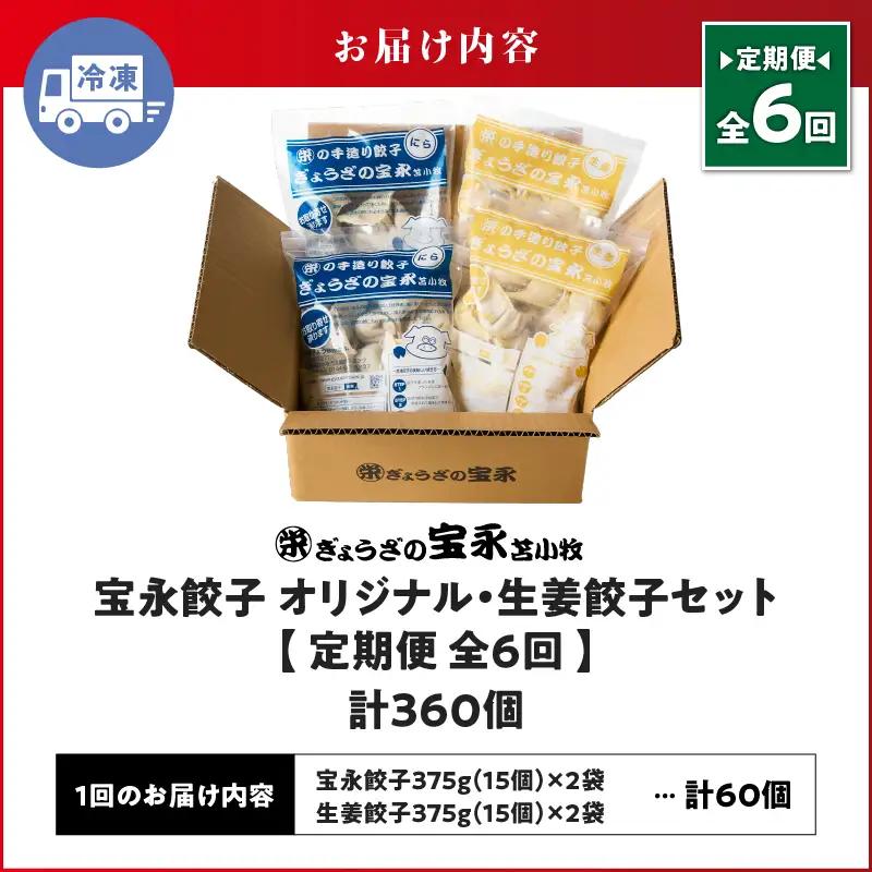 【定期便・全6回 毎月】手包み餃子 ぎょうざの宝永 生姜餃子60個セット（宝永餃子15個入×2袋・生姜餃子15個入×2袋） T004-T05-02-04 定期便 定期 惣菜 総菜 餃子