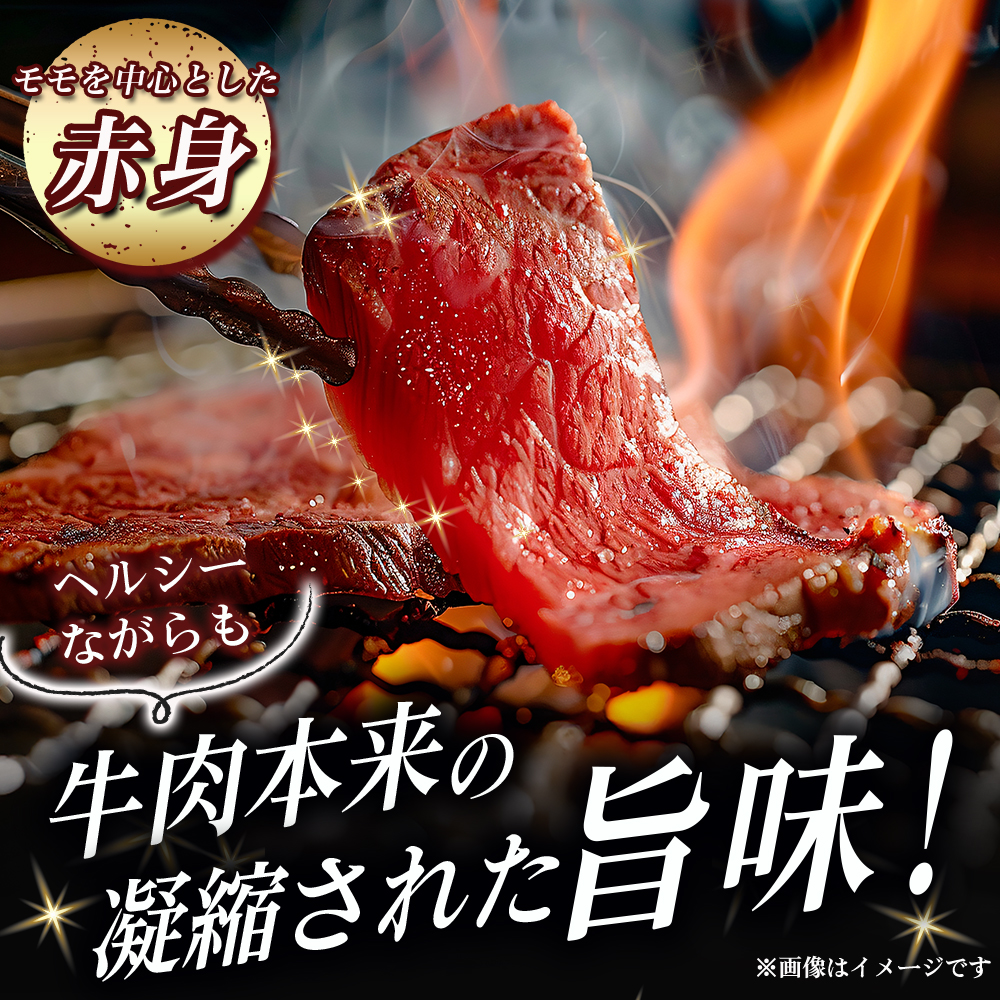 【A5等級】宮崎牛 特選焼肉セット 計800g（赤身・霜降り） 宮崎牛 プレミアムシリーズ ブランド牛 和牛 牛肉 焼肉 特選和牛 霜降り A5 宮崎県 小林市