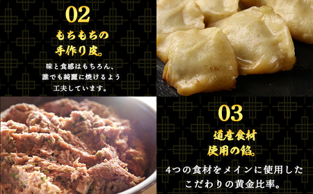 だぶだぶな肉汁をすすりたくなる餃子ちぃーず40個入（20個入×2パック） BE009