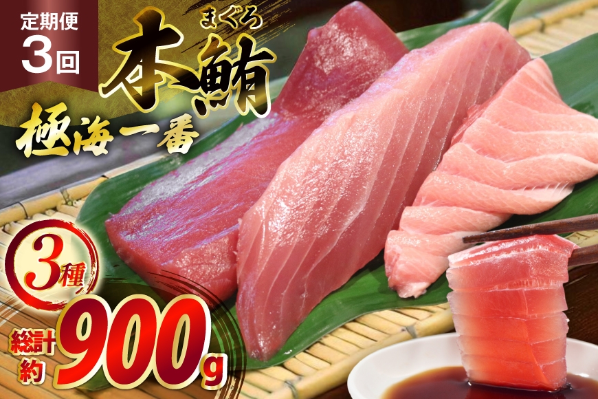 マグロ 切り身 極海一番 3種 セット 300g 3回 定期便 総計900g 詰め合わせ 食べ比べ [囲炉裏料理エビス亭 長崎県 平戸市 hr42bgy390172] まぐろ 刺身 料亭 赤身 中とろ