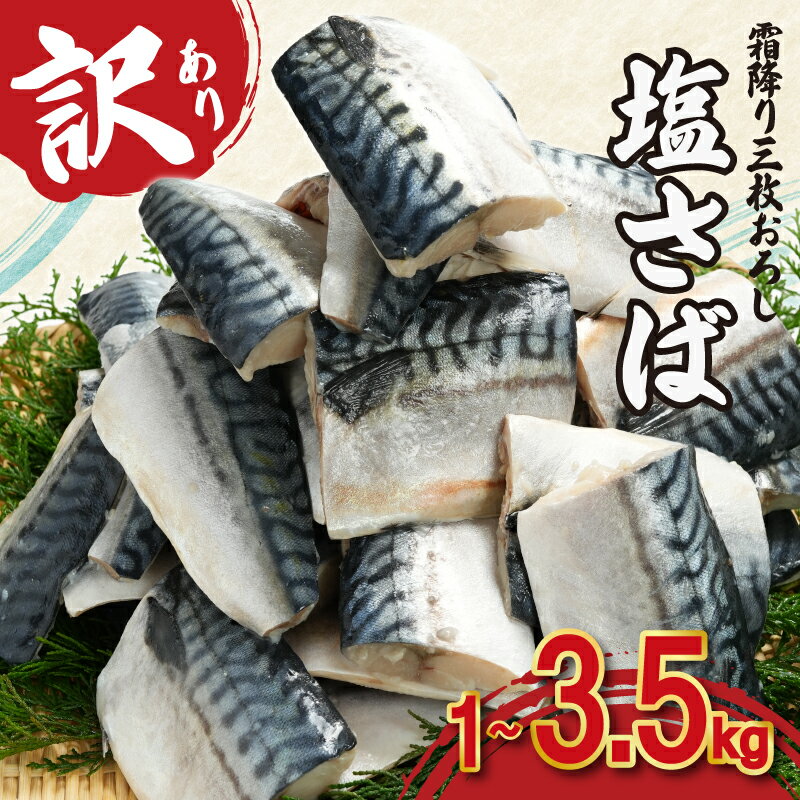 【ふるさと納税】 訳あり 霜降り 塩サバ 三枚卸 約 1kg ～ 約 3.5kg 【 選べる 容量 】 切身 切り身 大容量 塩鯖 鯖 サバ トロ 人気 たっぷり 不揃い 規格外 海鮮 グルメ お取り寄せ 贈答 ギフト 小分け バラ凍結 ふるさと納税鯖 冷凍 送料無料 千葉県 銚子市 カネジョウ