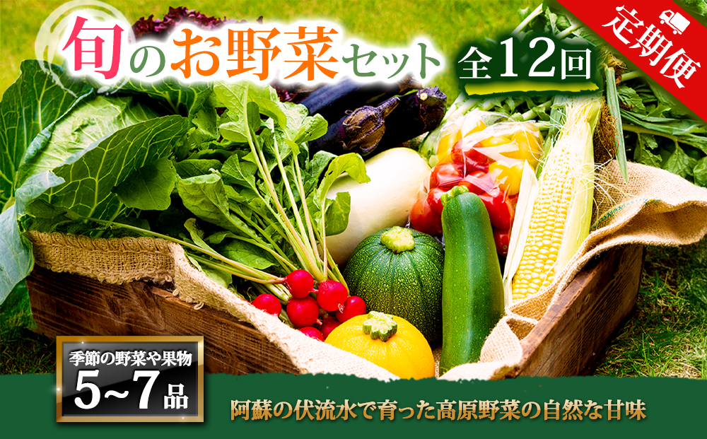 【定期便 全12回】季節の野菜セット 5～7品【 M 野菜 詰め合わせ 毎月お届け 産地直送 熊本 阿蘇 熊本県 阿蘇市】