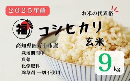 【令和7年産】四万十市産 コシヒカリ 玄米 9kg 栽培期間中農薬・ 化学肥料・除草剤不使用 国産 こしひかり 2025年産 米 こめ コメ ご飯 高知 四万十 しまんと 農家直送 蕨岡の百姓 福留壯 オーガニック 25-0016