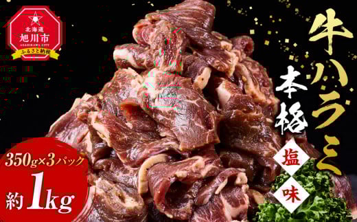 牛ハラミ（本格塩味）1.05kg(350g×3)_5076