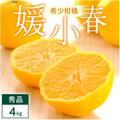 
                  媛小春 4kg 愛媛県 八幡浜市 西宇和地区 希少な幻の柑橘 黄色いみかん＜E25-345＞【1715608】
                