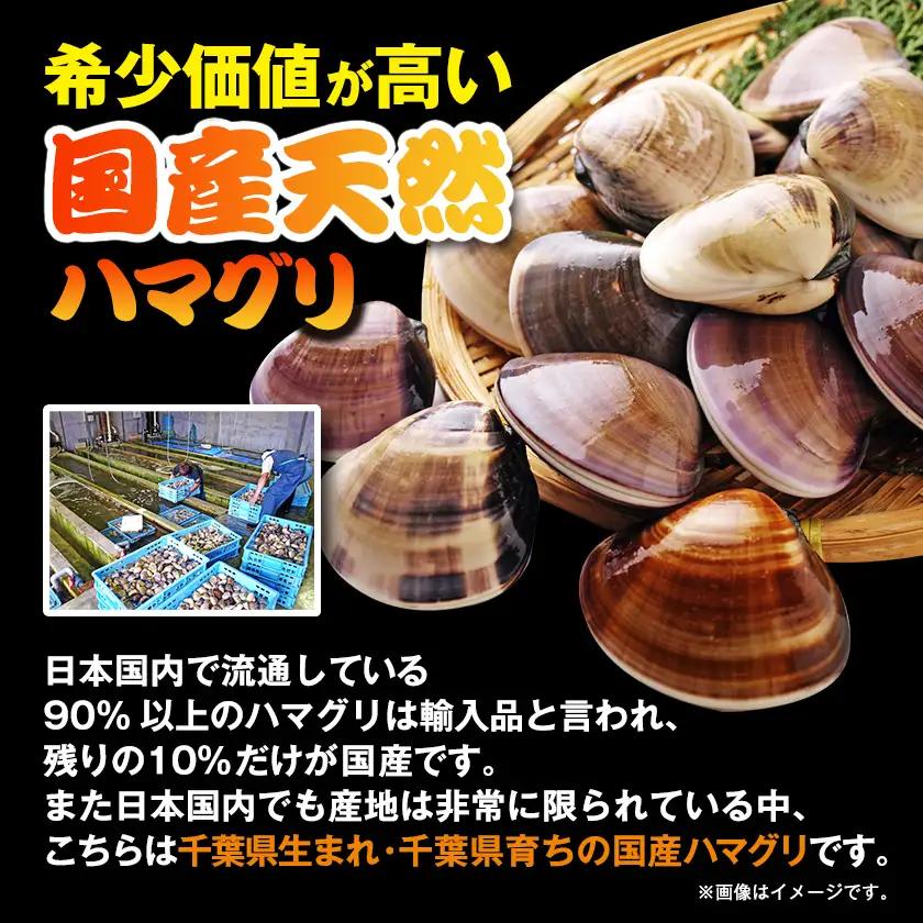 冷凍ボイルハマグリ1kg(12-20粒入り)【配送不可地域：離島】【1743657】