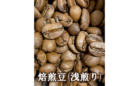 藤沢珈琲物語 焙煎豆3種セット(浅煎り200g、中煎り200g、深煎り200g)ふるさと納税限定スペシャル