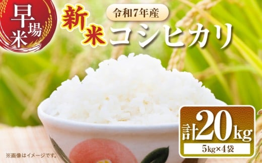 2週間以内に発送 早場米 新米 コシヒカリ 計20kg 期間限定 日南市産 お米 ご飯 ライス 国産 令和7年産 人気 食品 精米 白米 こしひかり 有洗米 おにぎり お弁当 炊き込みご飯 雑炊 ギフト 贈り物 贈答 産地直送 宮崎県 日南市 送料無料_I30-25