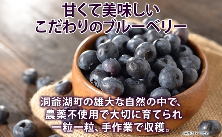 ブルーベリー 北海道産 小分け ブルーベリー【100g×4袋】【冷凍】