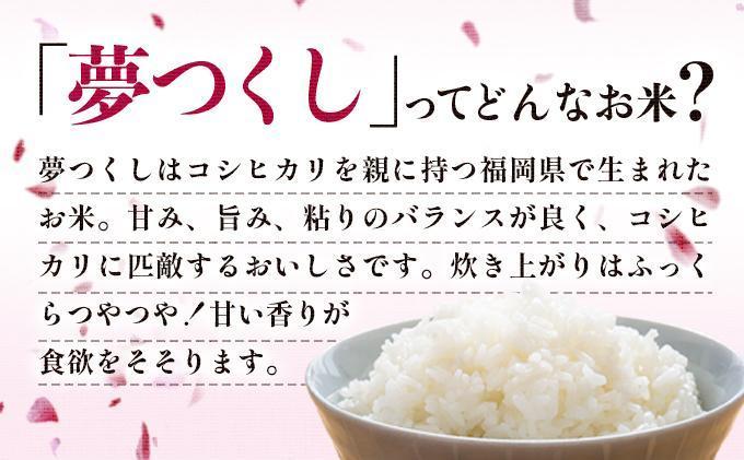【3ヶ月定期便】令和7年産 福岡県産米 夢つくし 5kg ※北海道・沖縄・離島は配送不可 |【精米 単一米 単一原料米 7年産 国産 お米 ブランド米 5kg × 1 ゆめつくし】CY008sub3 