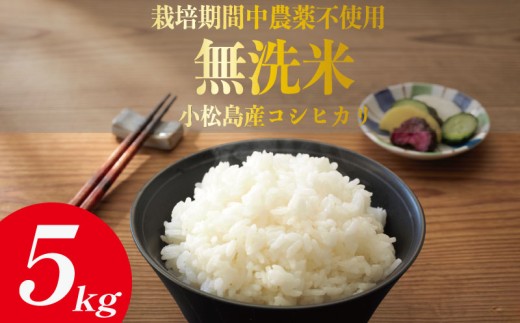 令和7年産 無洗米  5kg 栽培期間中農薬不使用 米 白米 お米 コメ こしひかり コシヒカリ ※ okome kome おむすび おにぎり 徳島県産 精米 徳島県 小松島市