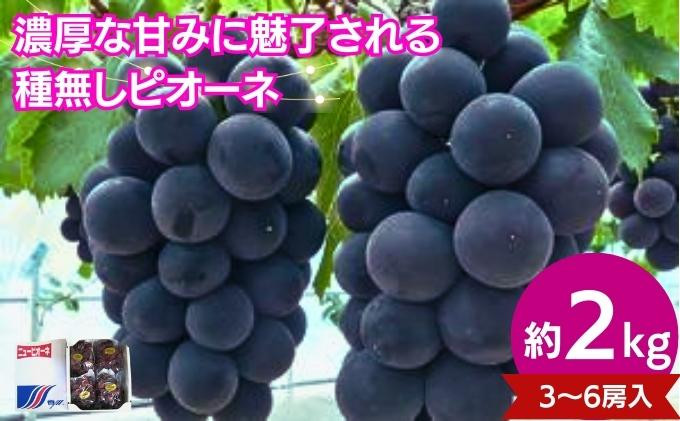 
            ピオーネ 約2kg 3~6房入 種なし 冷蔵 配送 ぶどう 葡萄 ブドウ フルーツ 果物 くだもの デザート 果実 美味しい 人気果物 人気フルーツ 旬のフルーツ 旬の果物 ふるさと納税ぶどう ふるさと納税ピオーネ 香川県 丸亀市
          