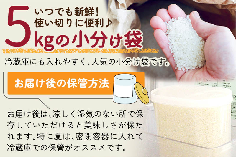 《予約受付》《1回のみお届け》令和7年産 【無洗米】通算5回特A 秋田県産ひとめぼれ 計5kg (5kg×1袋)【2025年11月中出荷予定】