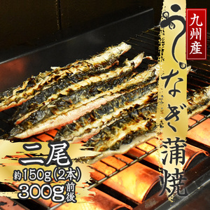 M685 国産うなぎ ふっくら肉厚 有頭 蒲焼 2尾 150g ウナギ 鰻 夏バテ スタミナ 真空包装 人気 オススメ 宮若市