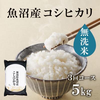 ふるさと納税 十日町市 【毎月定期便】無洗米 魚沼産コシヒカリ(精米)5kg×1袋全3回
