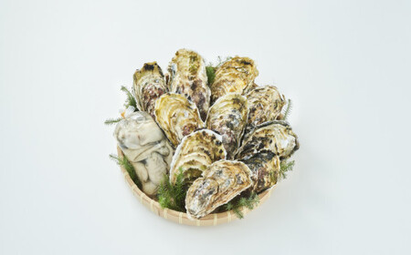 【先行予約】 『殻付き牡蠣 (生食用) 10個 & むき身牡蠣 (加熱用) 250g セット』 一本松牡蠣