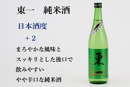 TheSAGA認定酒 純米酒おまかせ3本 定期便3回(H072156)