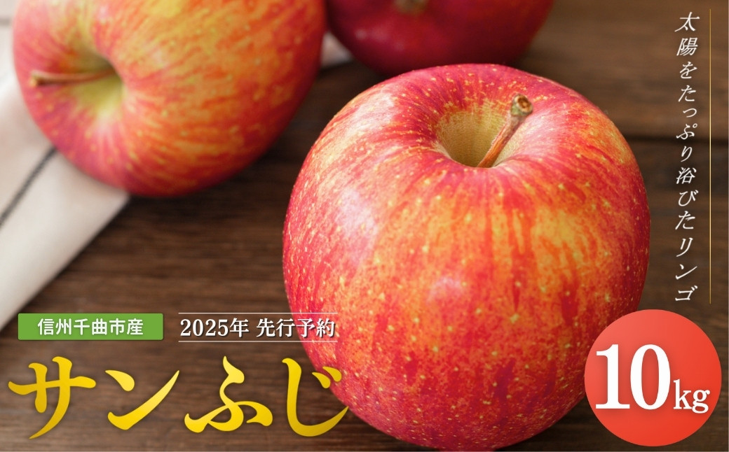 
            【2025年先行予約】りんご サンふじ 約10kg<中島農園> ｜ さんふじ フルーツ 果物 信州りんご 産地直送 千曲市 長野県産 信州
          