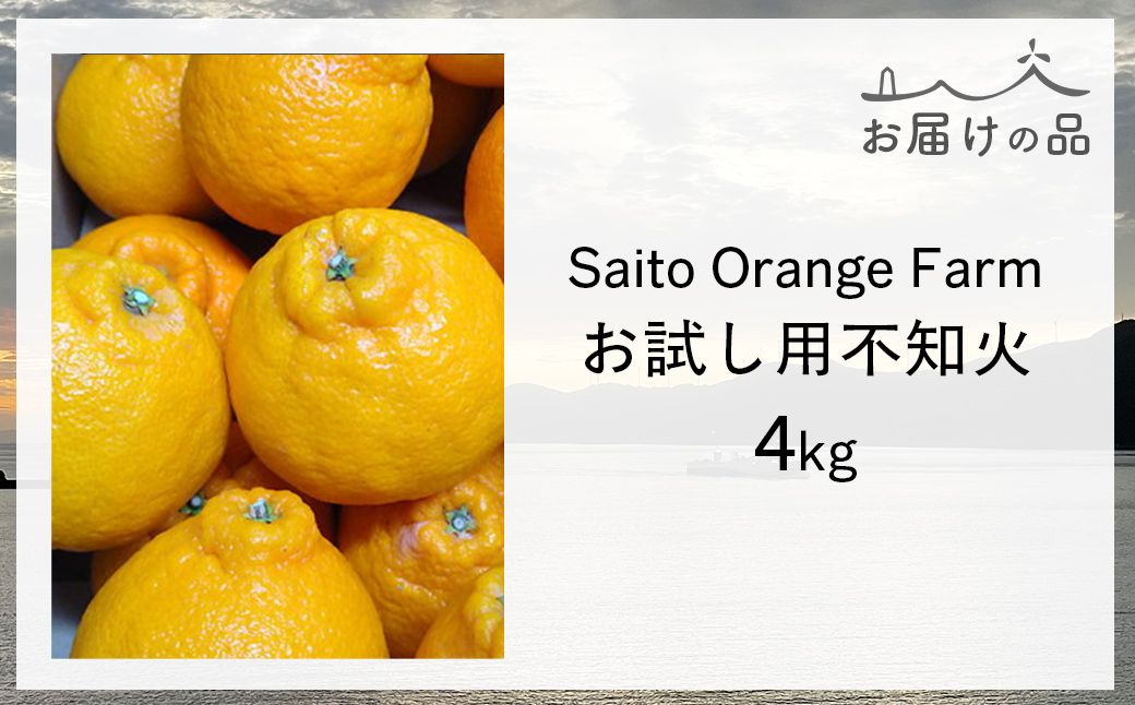 【先行予約】【お試し!】Saito Orange Farmの不知火4kg(2026年2月下旬頃より順次発送) IKTAQ014