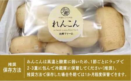 れんこん 無選別 1.5kg ｜レビュー☆4.54・テレビ紹介 千葉県神崎町の蓮根  ※4～9月上旬受付分は9月中旬以降順次発送【ふるさと納税 人気 野菜 蓮根 レンコン きんぴら 訳あり 無選別 1