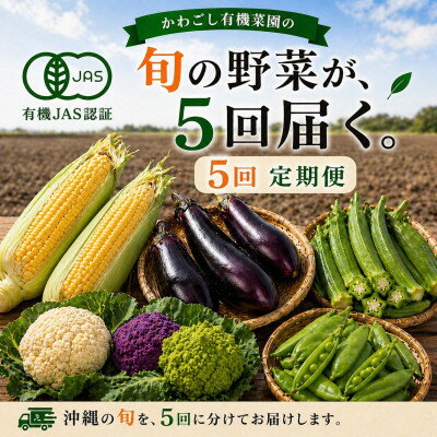 【ふるさと納税】【発送月固定定期便】旬の沖縄野菜(とうもろこし・ナス・オクラ・カリフローレ・スナップエンドウ)全5回【配送不可地域：離島】【4086627】