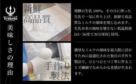 飛騨生乳100％ モッツァレラチーズ5個 セット | セット チーズ 冷蔵 濃厚 低温殺菌 乳製品 おいしい 人気 チーズ工房トリデンテ LF019