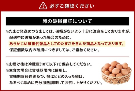 【12回定期便】わけありたまご 康卵 90個 破損保証10個含む 赤 Mサイズ 卵 たまご 鶏卵 鶏 訳あり 国産 九州産 送料無料