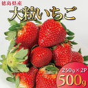 【ふるさと納税】 先行予約 いちご 500g 2 品種 250g 各 1パック スターナイト 天使のいちご 紅ほっぺ やよい姫 苺 ストロベリー 新鮮 果物 フルーツ デザート スイーツ おやつ 洋菓子 ケーキ ゼリー ジュース ジャム アイス ギフト プレゼント 阿波市 徳島県 はに農園