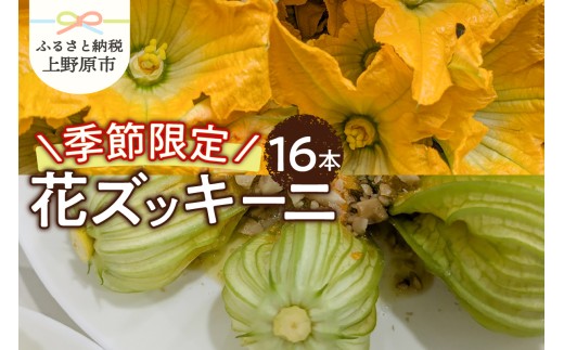 ★2026年先行予約★【関東甲信越エリア限定】＼季節限定／花ズッキーニ（16本入り）
