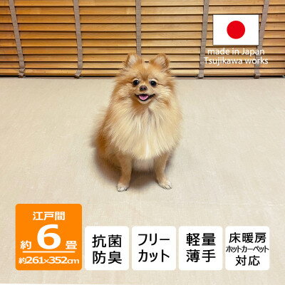【ふるさと納税】カーペット 日本製 抗菌防臭 犬 猫 ペット ビオラ 261×352cm 江戸間 6畳 アイボリー【1640010】