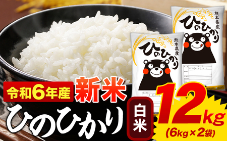 令和6年産新米 早期先行予約受付中 白米 ひのひかり 12kg《11月-12月より出荷予定(土日祝を除く)》|令和6年産 熊本県産 ふるさと納税 訳あり 家庭用 白米 精米 ひの 米 こめ ふるさとのうぜい ヒノヒカリ コメ お米 おこめ