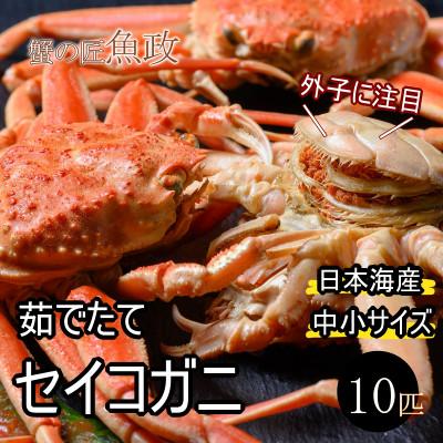 ふるさと納税 京丹後市 蟹の匠 魚政の内子外子が美味! 茹でたて セイコガニ(セコ蟹)(香箱ガニ)(こっぺ)中小サイズ10匹