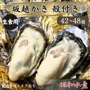 【ふるさと納税】牡蠣 生食用 坂越かき 殻付き 42～48個 昭和水産 [ 生牡蠣 真牡蠣 かき カキ 冬牡蠣 ]　 魚貝類 海鮮 海のミルク 身が大きい 濃厚 風味豊か 旨味 新鮮な牡蠣 　お届け：2025年1月中旬～2025年3月末