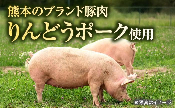 【全3回定期便】熊本県産 こだわり炒飯 りんどうポークのとんこつ風 炒飯 計2.3kg (230g×10)【ユーユーフーズ株式会社】 [BHCS031]