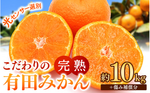 ご家庭用 こだわりの 有田 みかん 10kg＋150g(傷み補償分) 【1月発送予定】 / 温州みかん 光センサー選別 柑橘 甘い 果物 和歌山 ※北海道・沖縄・離島配送不可 【nuk004-c-10-janH】