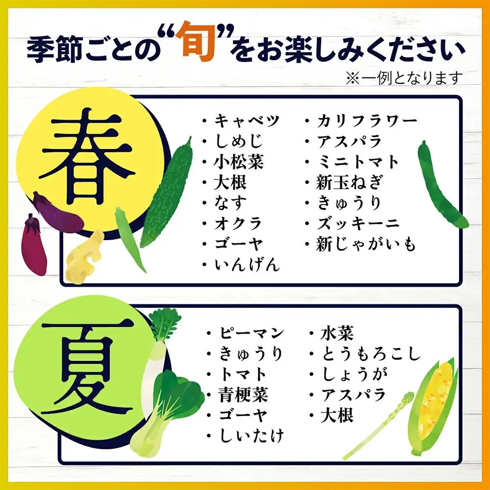  【３ヶ月定期便】旬のおまかせ 野菜BOX 野菜定期便 旬の野菜 詰め合わせ 野菜 新鮮 野菜8～10品目 C-47