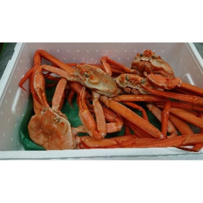 紅ズワイガニ2kg(足とれ含む)【配送不可地域：離島・北海道・沖縄県】